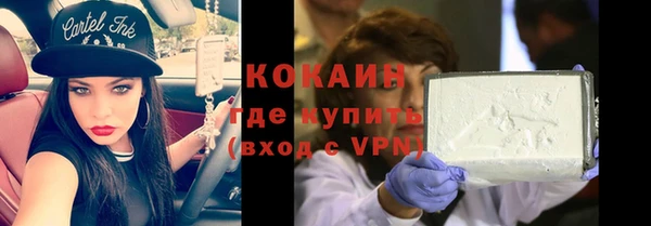 дживик Абинск