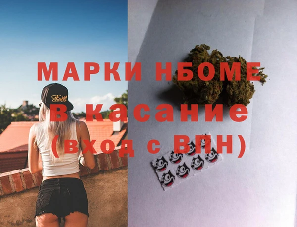 сатива Нефтекумск