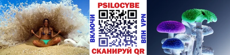 закладка  Омск  блэк спрут tor  Галлюциногенные грибы MAGIC MUSHROOMS 