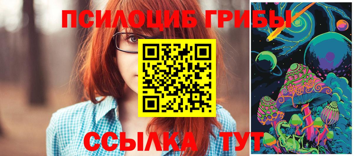 Омск  Галлюциногенные грибы Psilocybine cubensis  Вход с VPN 