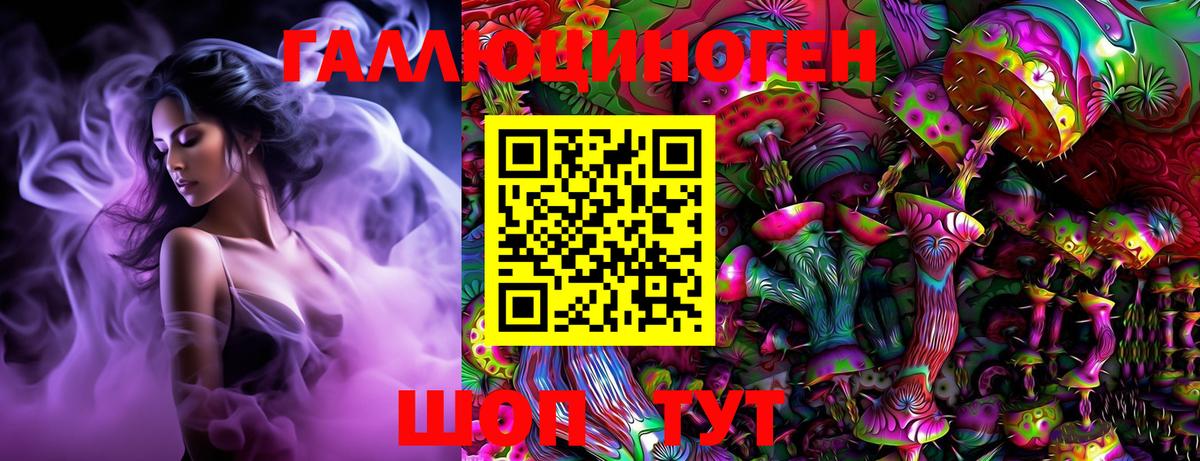 Галлюциногенные грибы Psilocybe Омск